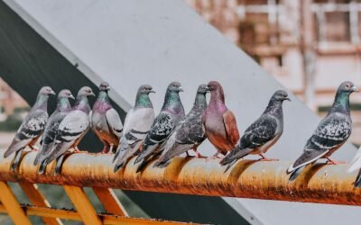 Kvalitatīva pieredzes apmaiņa veicina iekļaujošas darba vides un sabiedrības attīstību