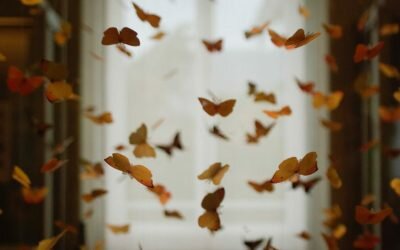 Atvērtība dažādībai veicina empātiju un biznesa izaugsmi